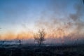Burns dry grass in sky smoke. Royalty Free Stock Photo