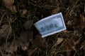 Burnt banknotes on the grass. Burned fragment of US dollar banknote on the ground. Concept of financial crisis. Royalty Free Stock Photo