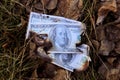 Burnt banknotes on the grass. Burned fragment of US dollar banknote on the ground. Concept of financial crisis. Royalty Free Stock Photo