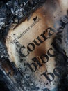 Burnt book courage concept Royalty Free Stock Photo