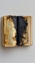 Burnt book with gold accents and cracked texture Royalty Free Stock Photo
