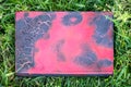 Burnt book with red binding in the garden on the grass. A discarded book Royalty Free Stock Photo