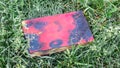 Burnt book with red binding in the garden on the grass. A discarded book Royalty Free Stock Photo