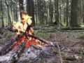 Burnt branches and flames of fire. Evening beautiful bonfire of burning pine in the wild forest. Firewood burns orange flame. Red Royalty Free Stock Photo