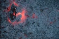 Ash surface with blurred filter. Big pieces of smoldering firewood logs with orange flame lights inside. Charcoal campfire texture Royalty Free Stock Photo