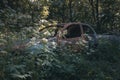 A burnt car wreckage has been left abandoned on the side of a woodland road, now rusty and overgrown Royalty Free Stock Photo