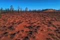 Burnt country in rural central Australia