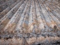 Burnt cultivated field with furrows, preparing next plantation Royalty Free Stock Photo