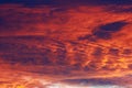 Burnt dark dramatic hurricane clouds in the sky in windy weather after sunset. Background with copy space Royalty Free Stock Photo