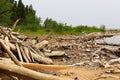 Burnt driftwood on the edge of a sandy shore Royalty Free Stock Photo