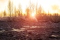 Burnt dry grass in nature after a fire against the backdrop of an evening sun set, the danger of forest fires, outdoors