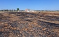 Burnt earth in place of a centuries-old olive grove killed by Xylella in the Salento countryside, Puglia.