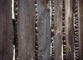 Burnt fence boards after a fire in a private house.