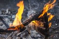 Burnt fence close-up on the ashes of a large fire, on a blurred background with a bokeh effect Royalty Free Stock Photo