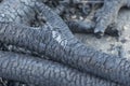 Burnt firewood. Forest after the fire. Black wood charcoal background. Selective focus Royalty Free Stock Photo