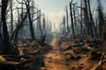 Burnt forest, dead trees. Wildfire disaster