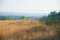 Burnt grass, landscape fire Royalty Free Stock Photo