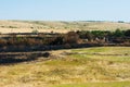 Burnt grass, landscape fire Royalty Free Stock Photo