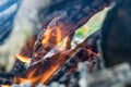 Burnt logs and fire flames close-up. Abstract background Royalty Free Stock Photo