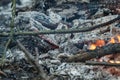 Burnt logs and fire flames close-up. Abstract background Royalty Free Stock Photo