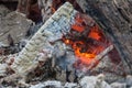 Burnt logs and fire flames close-up. Abstract background Royalty Free Stock Photo