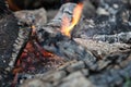 Burnt logs and fire flames close-up. Abstract background Royalty Free Stock Photo