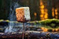 burnt marshmallow on a stick near extinguished campfire
