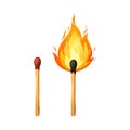 Burnt match stick with fire. Whole, ignite wooden matchstick. Cartoon safety isolated on white background. Vector set Royalty Free Stock Photo