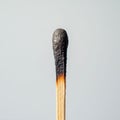 Burnt matchstick standing upright on white background Royalty Free Stock Photo