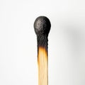 Burnt matchstick standing upright on white background Royalty Free Stock Photo