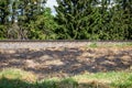 Burnt old dry grass. Fire accident, extremely hot weather and nature. Railway track