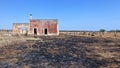 Burnt olive grove and abandoned farmhouse due to Xylella fastidiosa, in Puglia, Salento