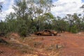 Burnt out car abandoned in bushland Royalty Free Stock Photo