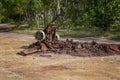 Burnt Out Car Damages Bushland Environment Royalty Free Stock Photo
