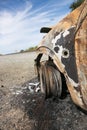 Burnt out car on the side of a road Royalty Free Stock Photo