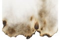 Burnt Paper Blank Royalty Free Stock Photo