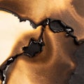 Burnt Paper Texture with Brown and Black Tones Royalty Free Stock Photo