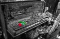 Burnt piano with red rose flower Royalty Free Stock Photo