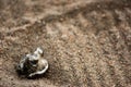 Burnt piece of contaminating plastic in the sand with a trace of a human shoes Royalty Free Stock Photo