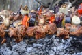 Burnt pork meat grilled kebabs and vegetables