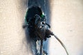 Burnt power outlet. Melted-off and burned plastic socket of power supply