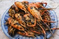 Burnt River shrimp placed on a plate .