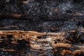 Burnt texture wood charcoal background. heap Royalty Free Stock Photo