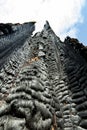 Burnt Tree in the Sky Royalty Free Stock Photo