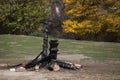 Burnt tree trunk in a middle of field