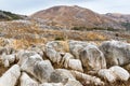 Burnt Winter Landscape at Hiraodai Karst Plateau