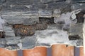 burnt wood from original doors and windows. Ancient city in Herculaneum archaeological park, Naples, Italy.