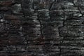 Burnt wood texture