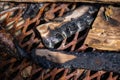 burnt wooden logs on rusty grill.. Royalty Free Stock Photo