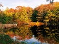 Burr pond state park beautiful autumn lake views with orange oak trees Royalty Free Stock Photo